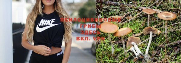 стафф Алексеевка