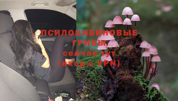 эйфоретик Алексин