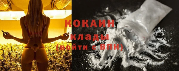 прущий лед Алзамай