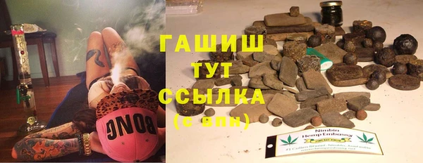 прущий лед Алзамай