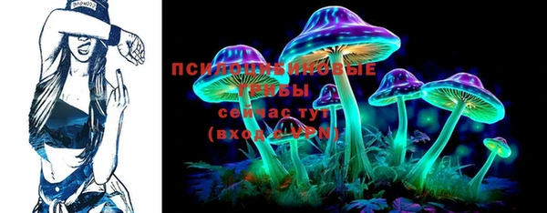 эйфоретик Алексин
