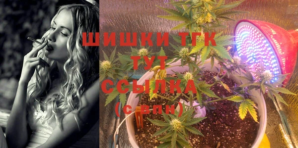 прущий лед Алзамай