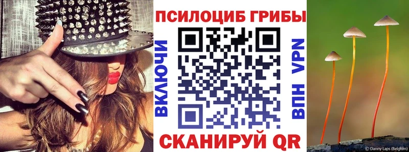 МЕГА ссылка  Киреевск  Галлюциногенные грибы MAGIC MUSHROOMS 